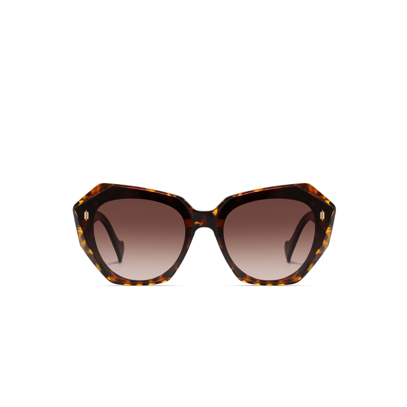 Brown tortoise shell sunglasses with gradient lenses