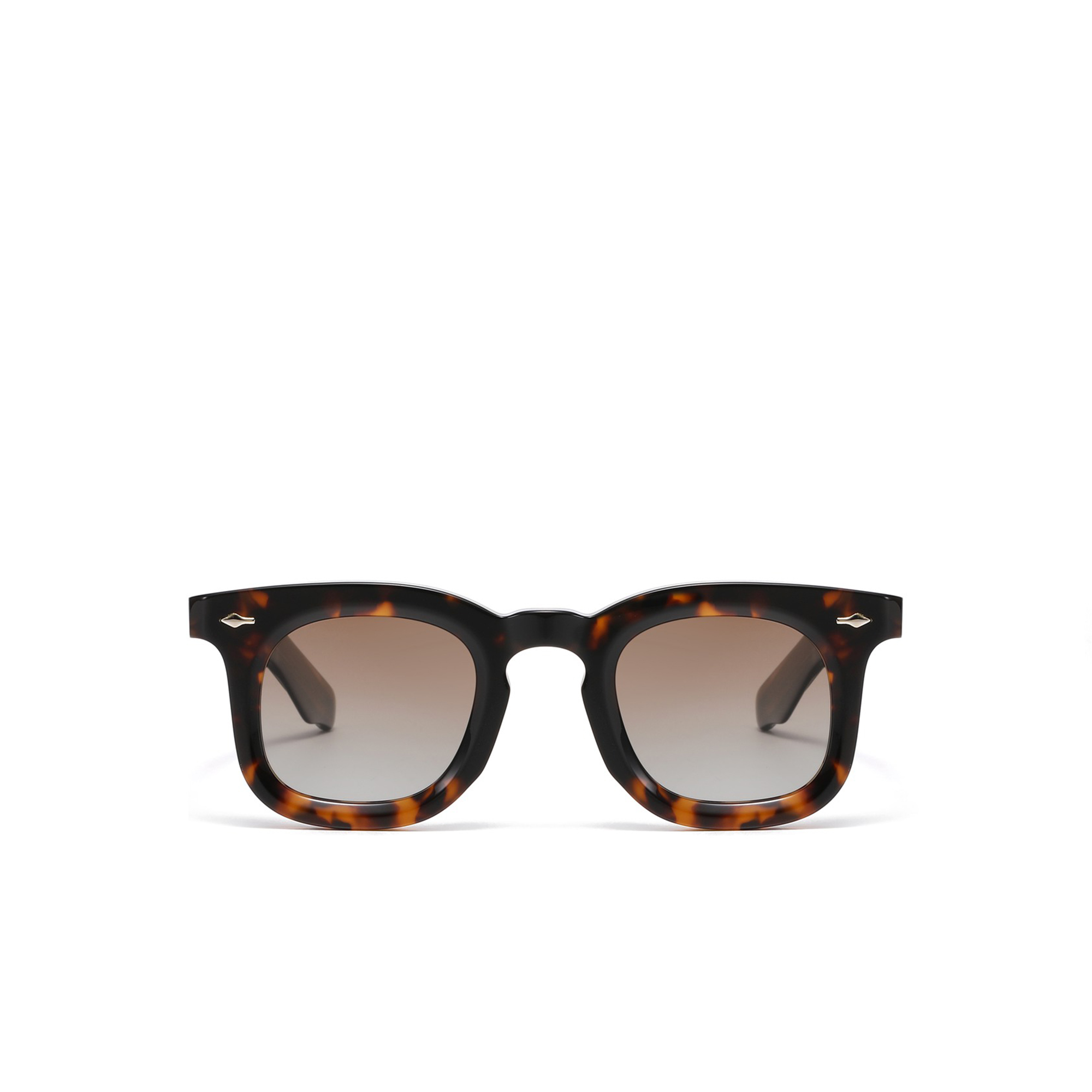 warwick-tortoise-front 1