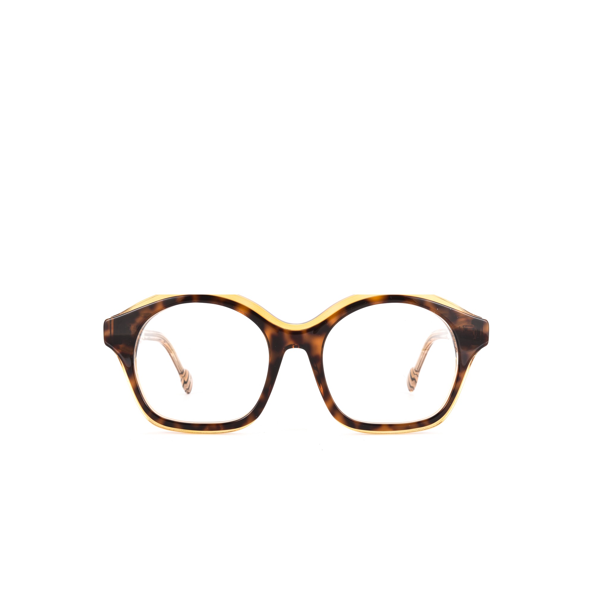 dunster-tortoise-front